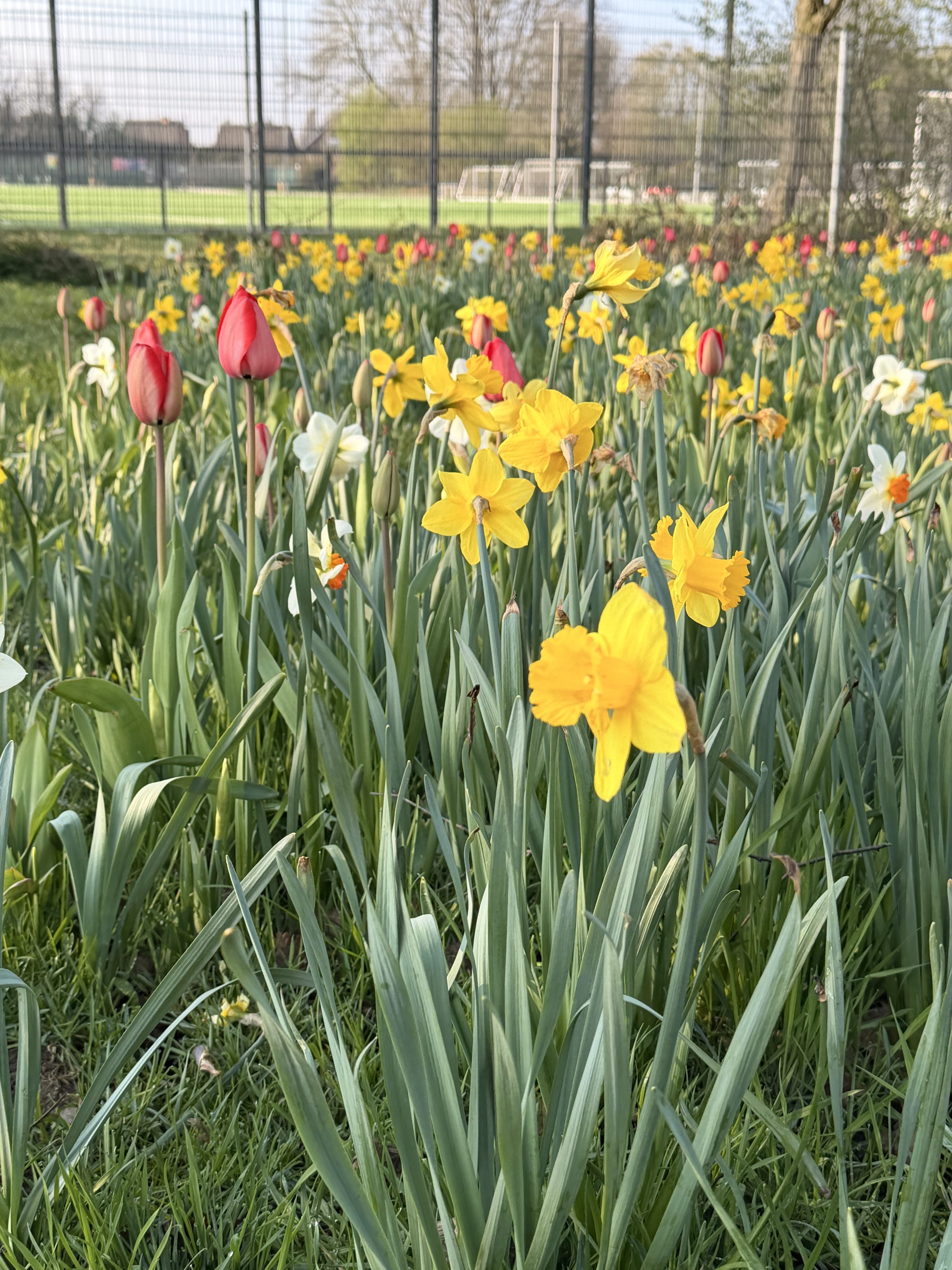 GdB erhöhen lassen: So funktioniert das Feststellungsverfahren