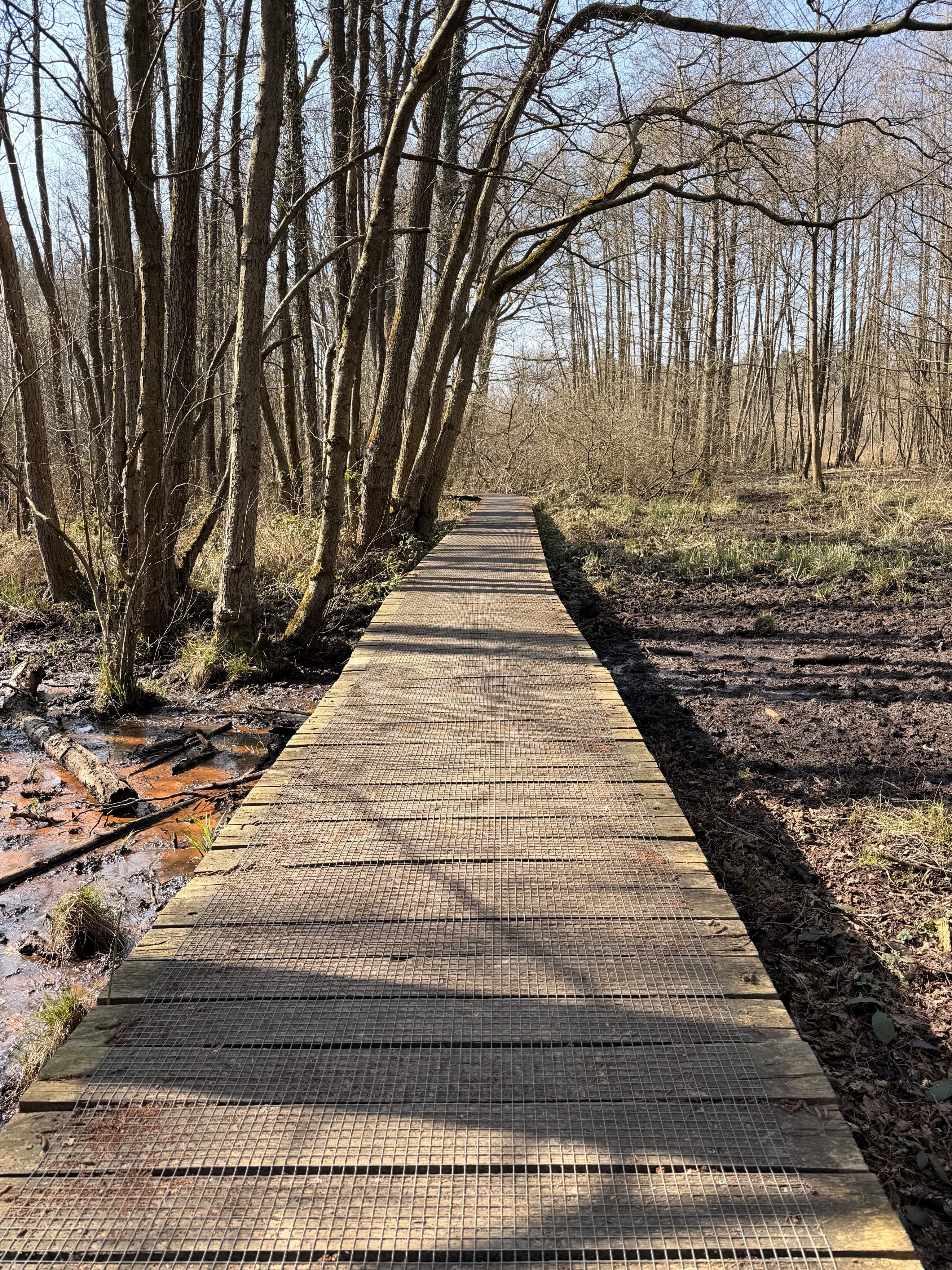 Scheidung & Unterhalt im Kreis Heinsberg: Die wichtigsten Antworten